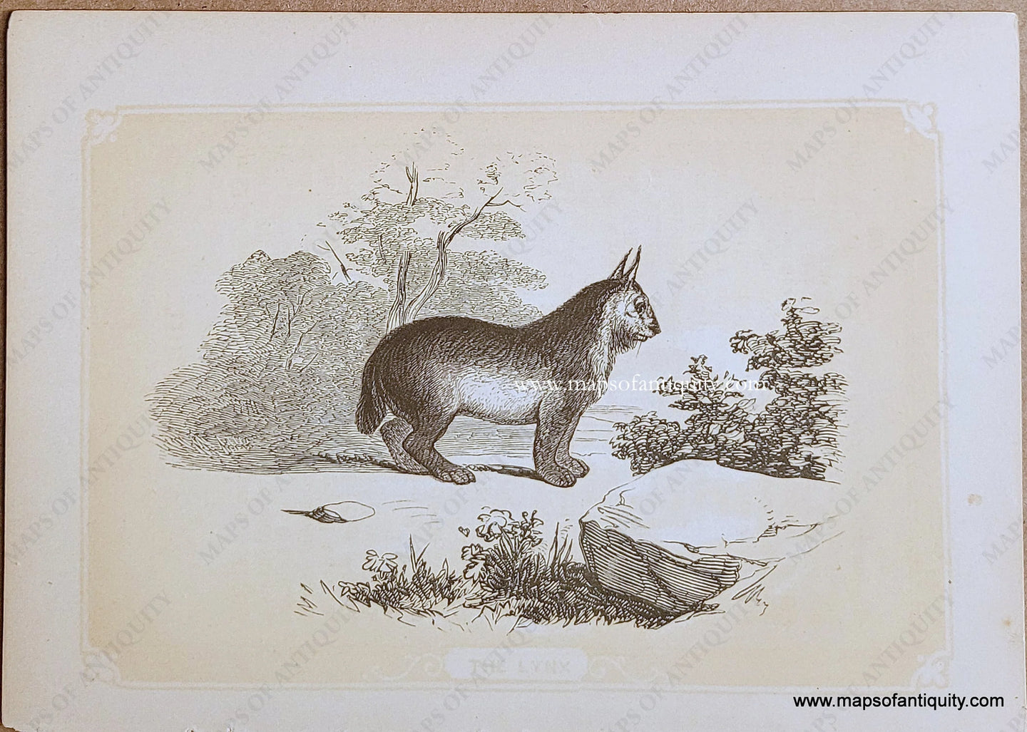 Genuine-Antique-Print-The-Lynx-1850s-Tallis-Maps-Of-Antiquity