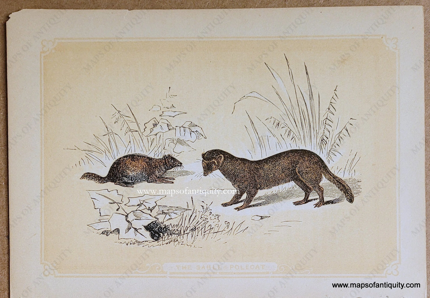 Genuine-Antique-Print-The-Sable-&-Polecat-1850s-Tallis-Maps-Of-Antiquity