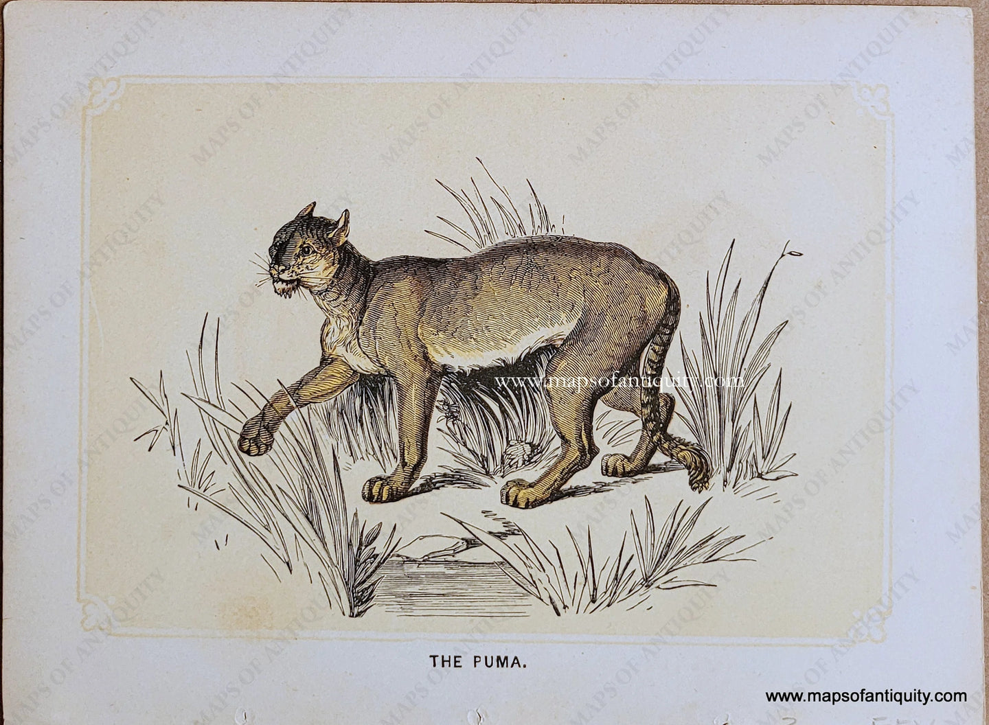 Genuine-Antique-Print-The-Puma-1850s-Tallis-Maps-Of-Antiquity