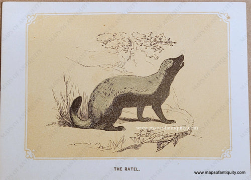 Genuine-Antique-Print-The-Ratel-1850s-Tallis-Maps-Of-Antiquity