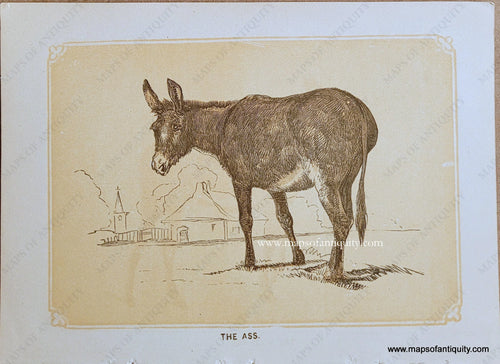 Genuine-Antique-Print-The-Ass-1850s-Tallis-Maps-Of-Antiquity