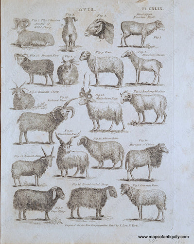 Genuine-Antique-Print-Ovis-1805-British-Encyclopaedia-Maps-Of-Antiquity
