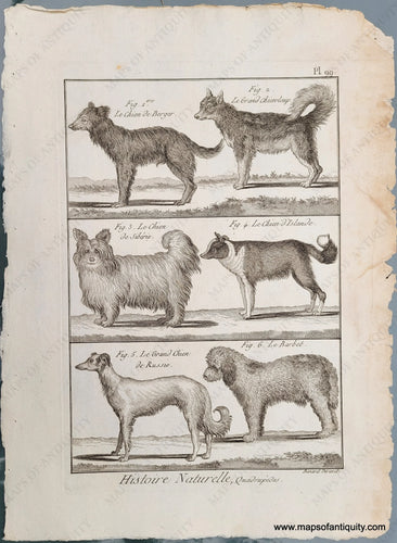 Genuine-Antique-Print-Antique-Dog-Print-1800-Benard-Direxit-Maps-Of-Antiquity