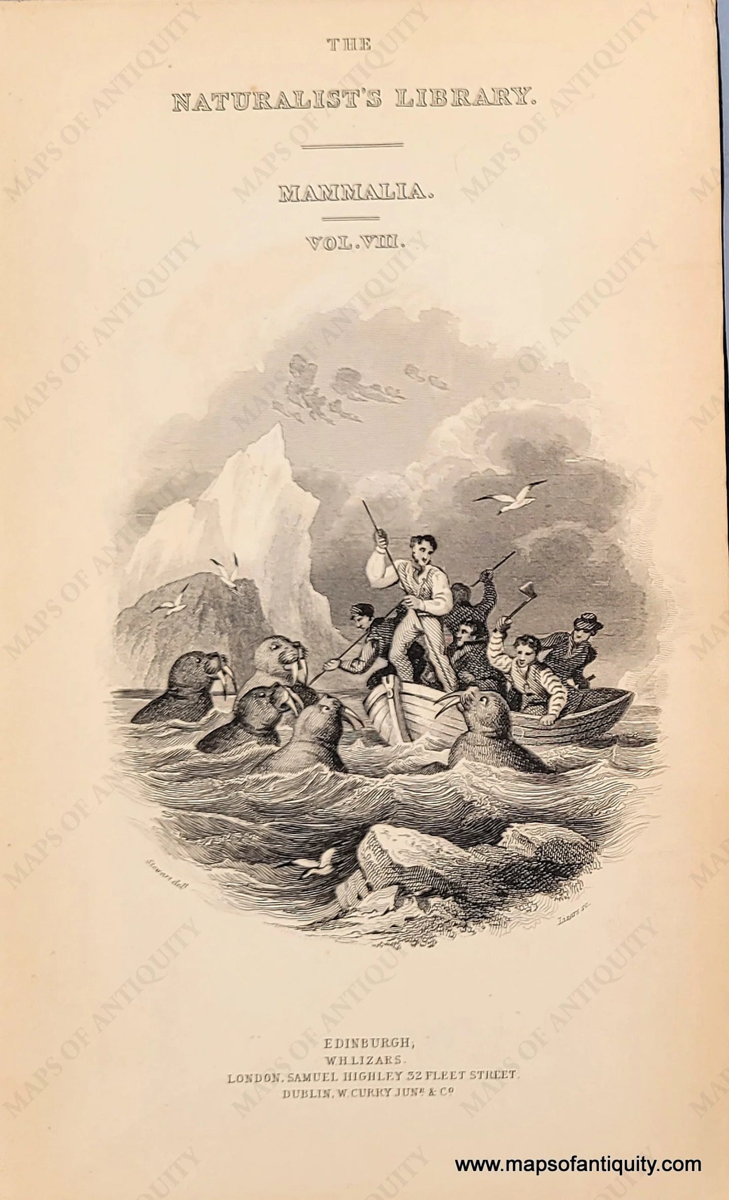 Genuine-Antique-Print-The-Naturalist's-Library-Mammalia-Vol-VII--Title-Page--c-1840-Jardine-Maps-Of-Antiquity