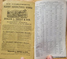 Load image into Gallery viewer, Genuine-Antique-Railroad-Booklet-and-Map-Map-showing-the-Springfield-Route-between-New-York-and-Boston-via-New-Haven-Hartford-Springfield-and-Worcester.-1867-Walling-/-Taintor-Brothers-Maps-Of-Antiquity
