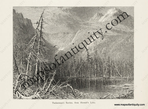 Antique-Black-and-White-Engraved-Illustration-Tuckerman's-Ravine-from-Hermit's-Lake-United-States-Northeast-1872-Picturesque-America-Maps-Of-Antiquity