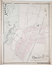 Load image into Gallery viewer, Antique Map with original hand-coloring in tones of yellow, green, pink.
