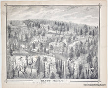 Load image into Gallery viewer, Antique black and white illustration of a landscape with trees, buildings, and cliffs.
