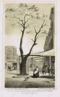 Genuine-Antique-Print-The-Old-Pear-Tree-Planted-By-Governor-Stuyvesant-Cor-3rd-Ave-13th-St--1861-Valentines-Manual-Maps-Of-Antiquity