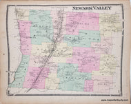 Genuine-Antique-Map-Newark-Valley-(NY)-1869-Beers-Ellis--Soule-Maps-Of-Antiquity