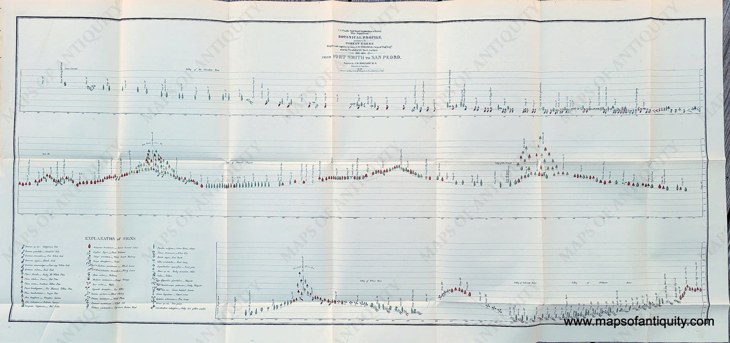 Genuine-Antique-Survey-Map-Botanical-Profile-representing-the-Forest-Trees-along-the-Route-explored-by-Lieut-A-W-Whipple…-near-the-Parallel-of-35-degrees-North-Latitude-1853-1854-from-Fort-Smith-to-San-Pedro-1855-Bigelow-Wagner---McGuigan-Maps-Of-Antiquity