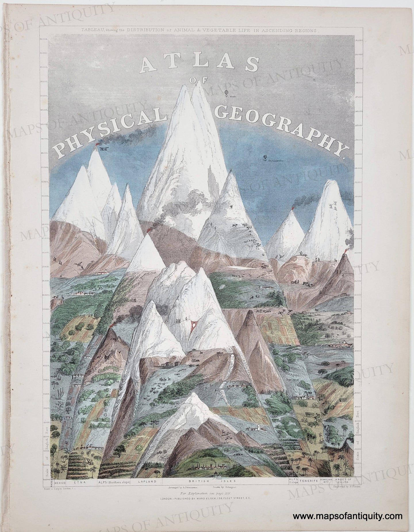 c.1850 - Atlas of Physical Geography title page with Comparative Mountains. - Genuine Antique Print