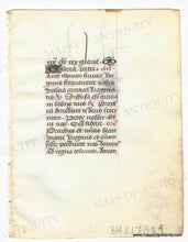 Load image into Gallery viewer, Antique miniature Manuscript page with decorative text and illustrations 
