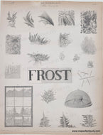 Genuine-Antique-Print-Meteorology:-Hoar-Frost-Ice,-Plate-7-c-1833-Baldwin-Cradock-Maps-Of-Antiquity