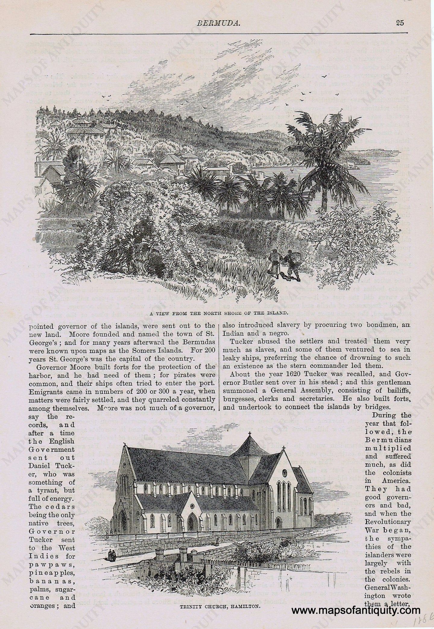 Genuine-Antique-Print-A-View-from-The-North-Shore-of-The-Island--19th-century-Unknown-Publisher-Maps-Of-Antiquity