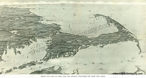 Reproduction-Cape-Cod-Bird's-Eye-View-(Medium)-Reproductions-Cape-Cod-and-Islands-Reproduction-Downs-Maps-Of-Antiquity