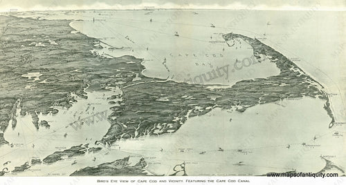 Reproduction-Map-Cape-Cod-Bird's-Eye-View