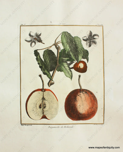 Pear Reproduction Non-Map Reproductions – Maps of Antiquity