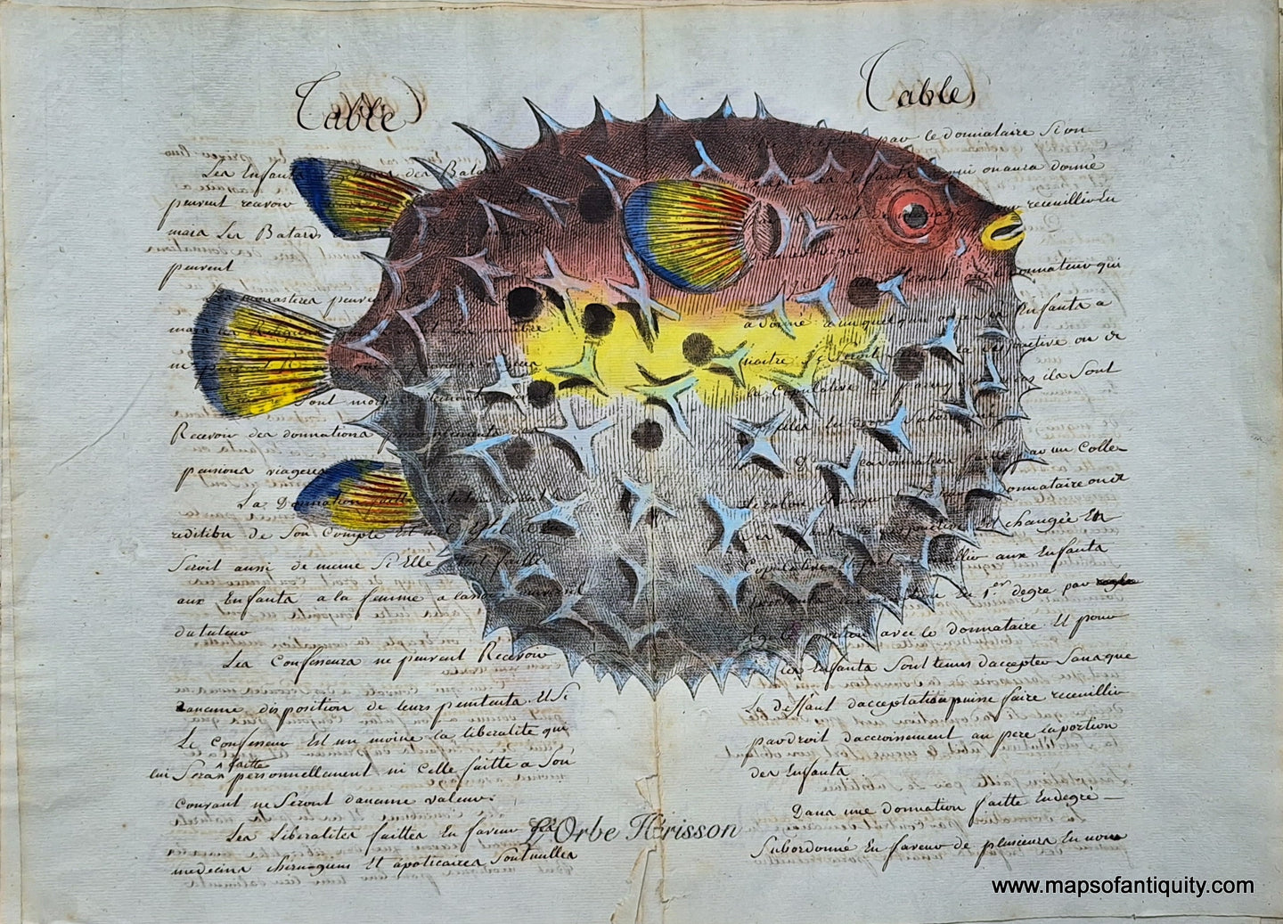 Colorful red, yellow, blue Digitally-Engraved-Specialty-Reproductions-Print-Prints-Antique-Ledger-Paper-L'Orbe-Herisson-Puffer-Fish-Fishing-Maps-of-Antiquity