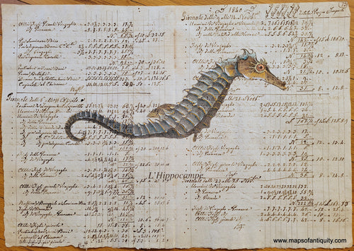 Seahorse Print L'Hippocampe-(Reproduction-on-Antique-Paper) Specialty Reproduction printed with a printing press on antique paper and hand colored in shades of blue-grey and gold with a copper colored eye