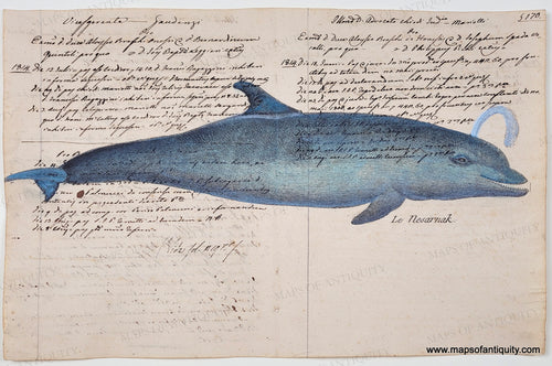 Blue dolphin on antique paper with handwriting in ink. Specialty-Reproduction-Dolphin-(Reproduction-on-Antique-Paper)-Digitally-Engraved-Specialty-Reproduction---Reproduction-Maps-Of-Antiquity