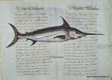Load image into Gallery viewer, Red-Specialty-Reproduction-L&#39;Espadon-swordfish-Reproduction-on-Antique-Paper-Digitally-Engraved-Specialty-Reproduction---Reproduction-Maps-Of-Antiquity
