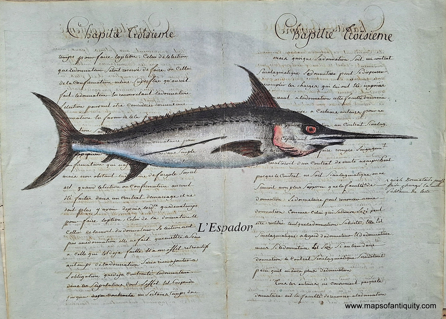 Red-Specialty-Reproduction-L'Espadon-swordfish-Reproduction-on-Antique-Paper-Digitally-Engraved-Specialty-Reproduction---Reproduction-Maps-Of-Antiquity