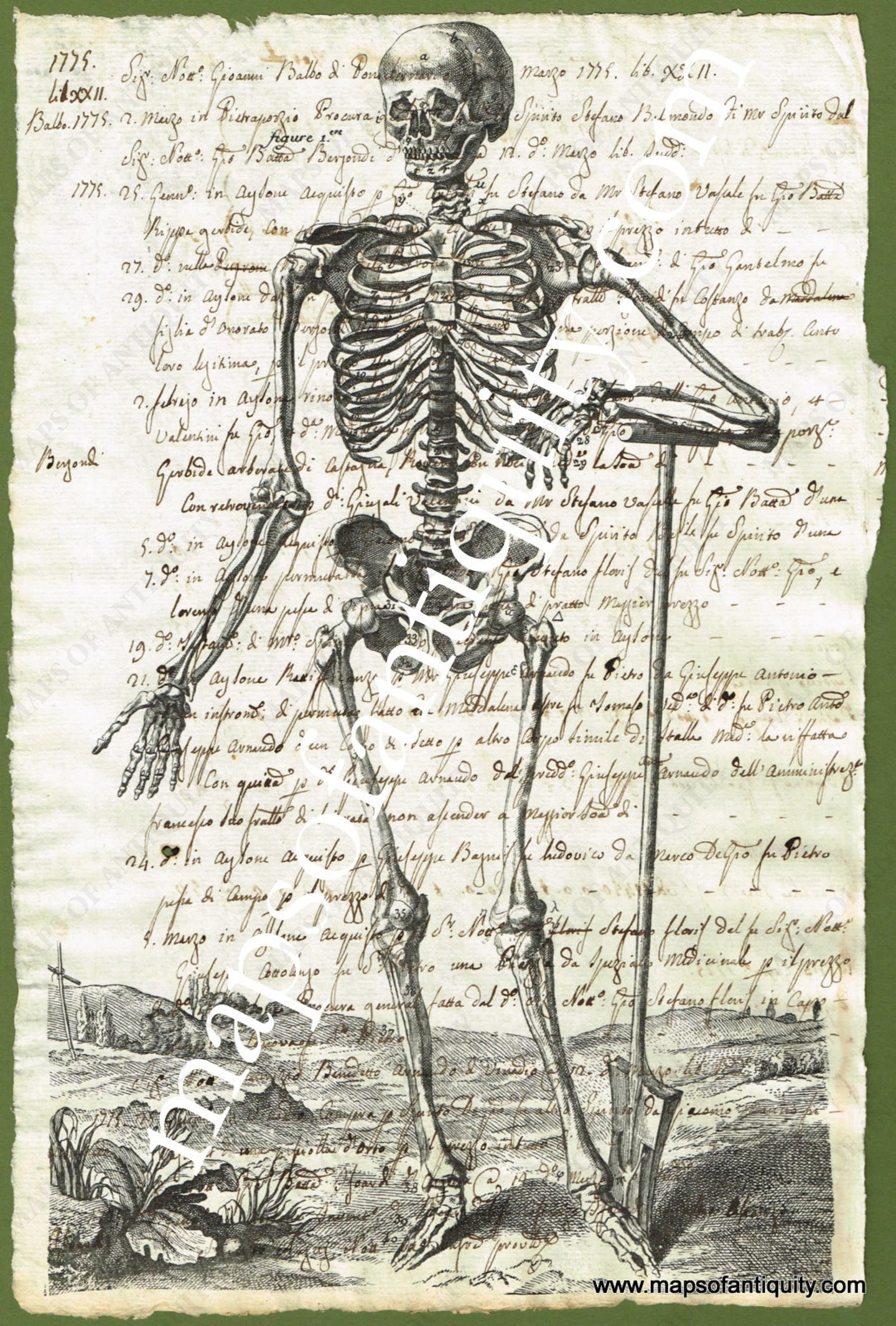 Specialty-Reproduction-Skeleton-(Reproduction-on-Antique-Paper)-Digitally-Engraved-Specialty-Reproduction---Reproduction-Maps-Of-Antiquity