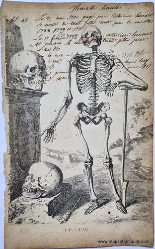 Digitally-Engraved-Specialty-Reproduction-Skeletons-Skeleton-Skeletal-System-Skull-Skulls-Human-Anatomy-Anatomical-Diagram-Diagrams-Print-Prints-Reproductions-on-Antique-Paper-1800s-19th-century-Maps-of-Antiquity