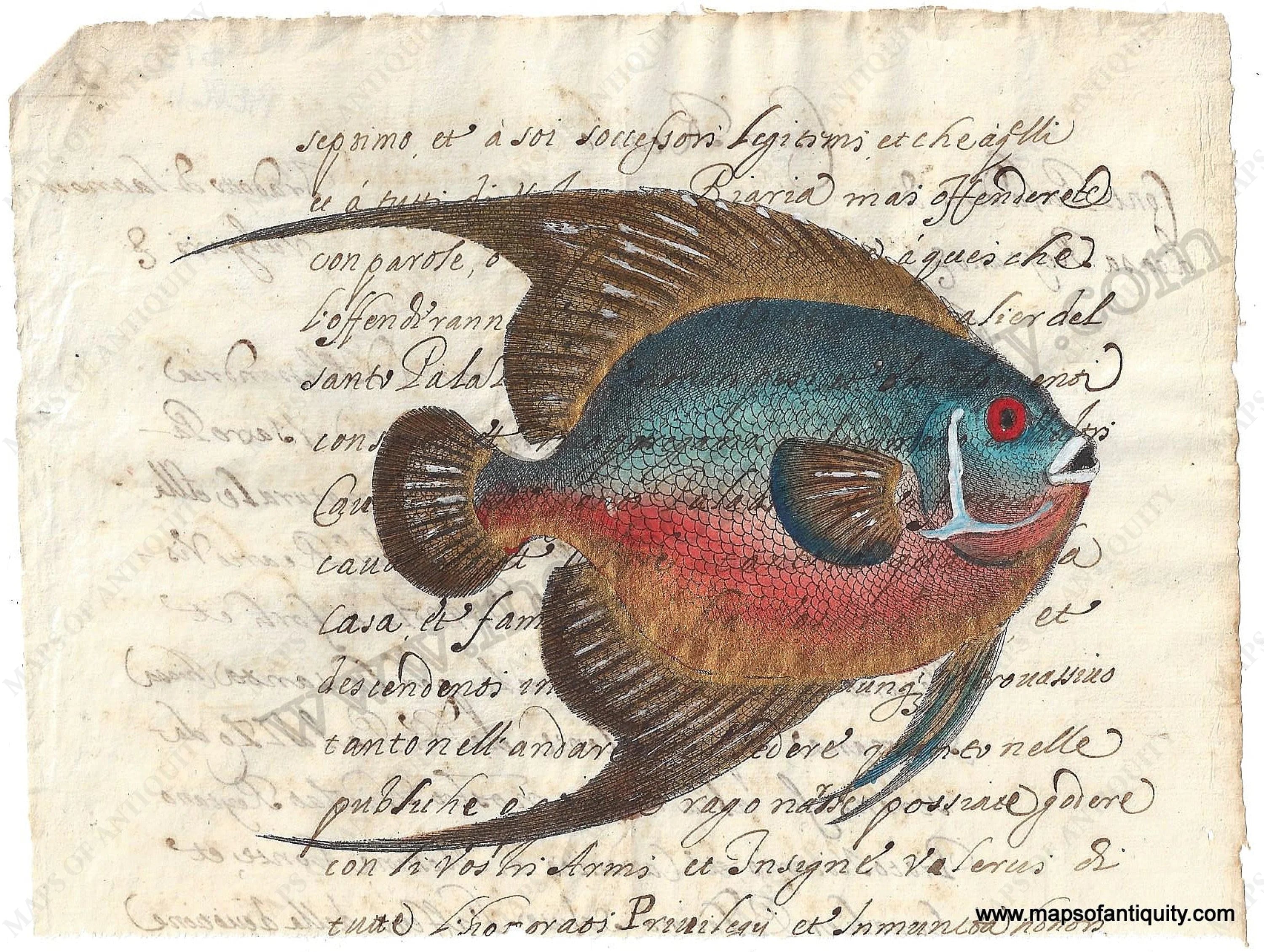 Fish (Reproduction) – Maps of Antiquity