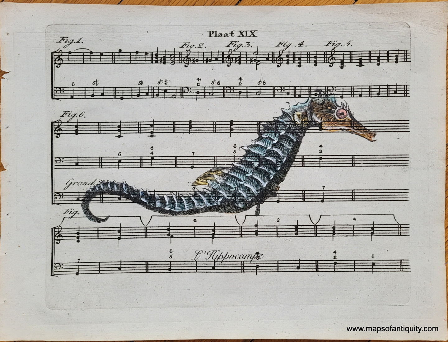Specialty-Hand-Made-Reproduction-on-Antique-Paper-Seahorse-on-Sheet-Music--Reproduction-Maps-Of-Antiquity