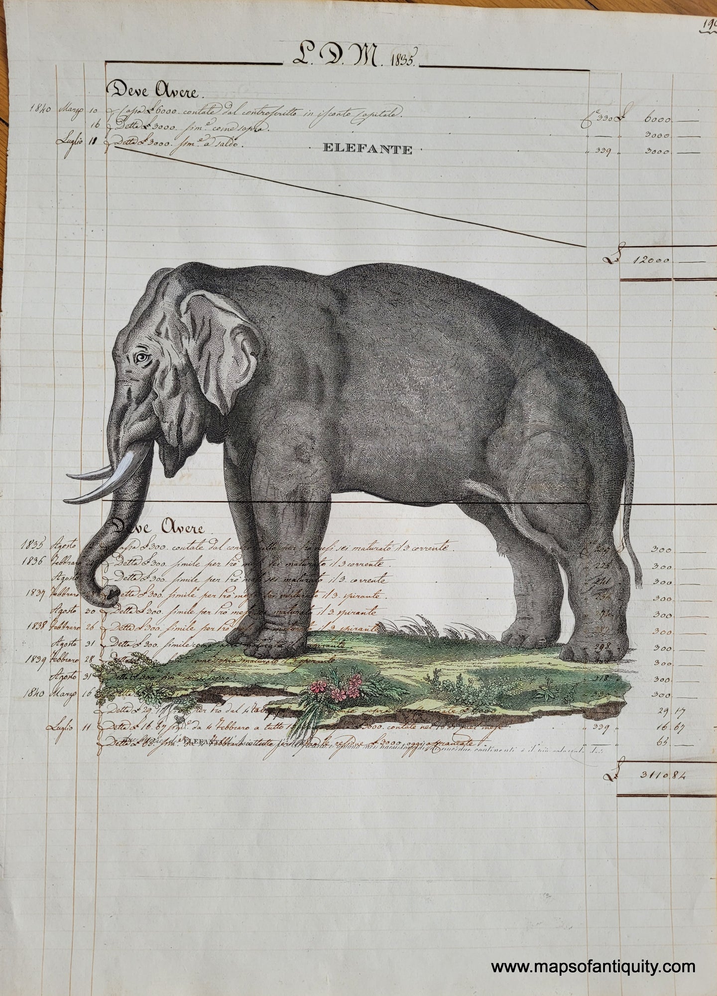 Digitally-Engraved-Specialty-Reproductions-Antique-Ledger-Paper-Elefante-Elephant-Elephants-Print-Prints-Maps-of-Antiquity