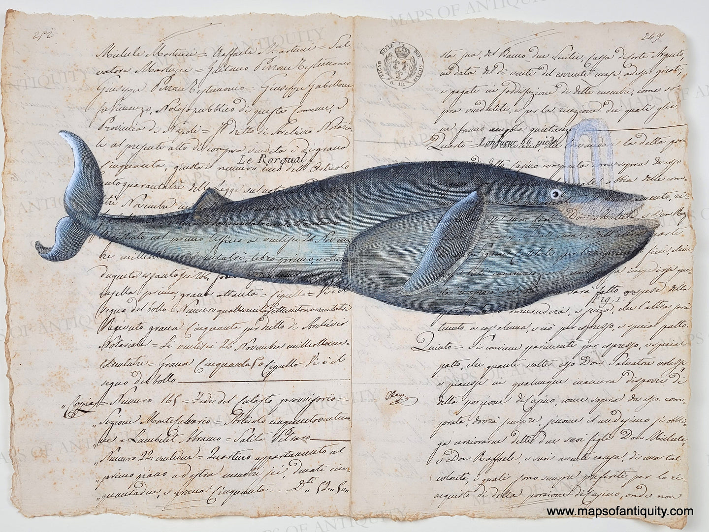 A charming whale reproduction printed on real antique paper. Whale is colored in blue. His grin reveals baleen.