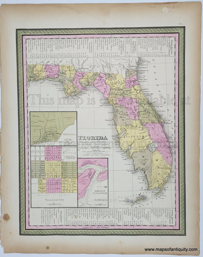 Antique Map with original hand-coloring in tones of green, yellow, and pink. 
Antique-Hand-Colored-Map-Map-of-Florida-United-States-South-1849-Mitchell-Maps-Of-Antiquity