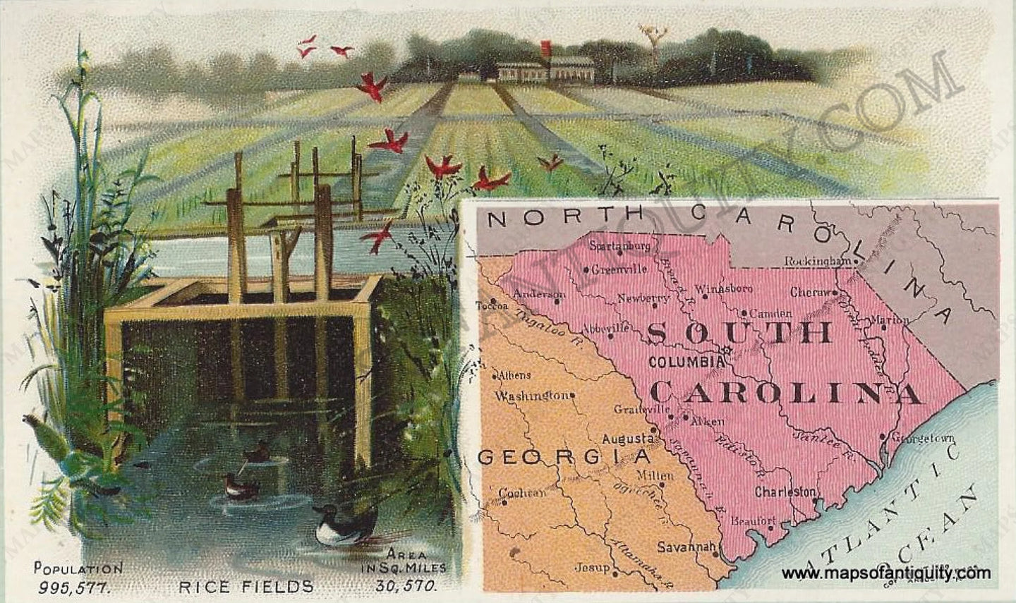 Antique-Chromolithograph-Arbuckle-Print-Prints-South-Carolina-1890-1800s-19th-Century-Maps-of-Antiquity