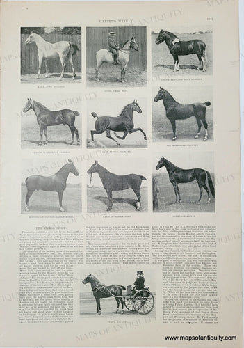 Genuine-Antique-Print-The-Horse-Show-1897-Harpers-Weekly-Maps-Of-Antiquity