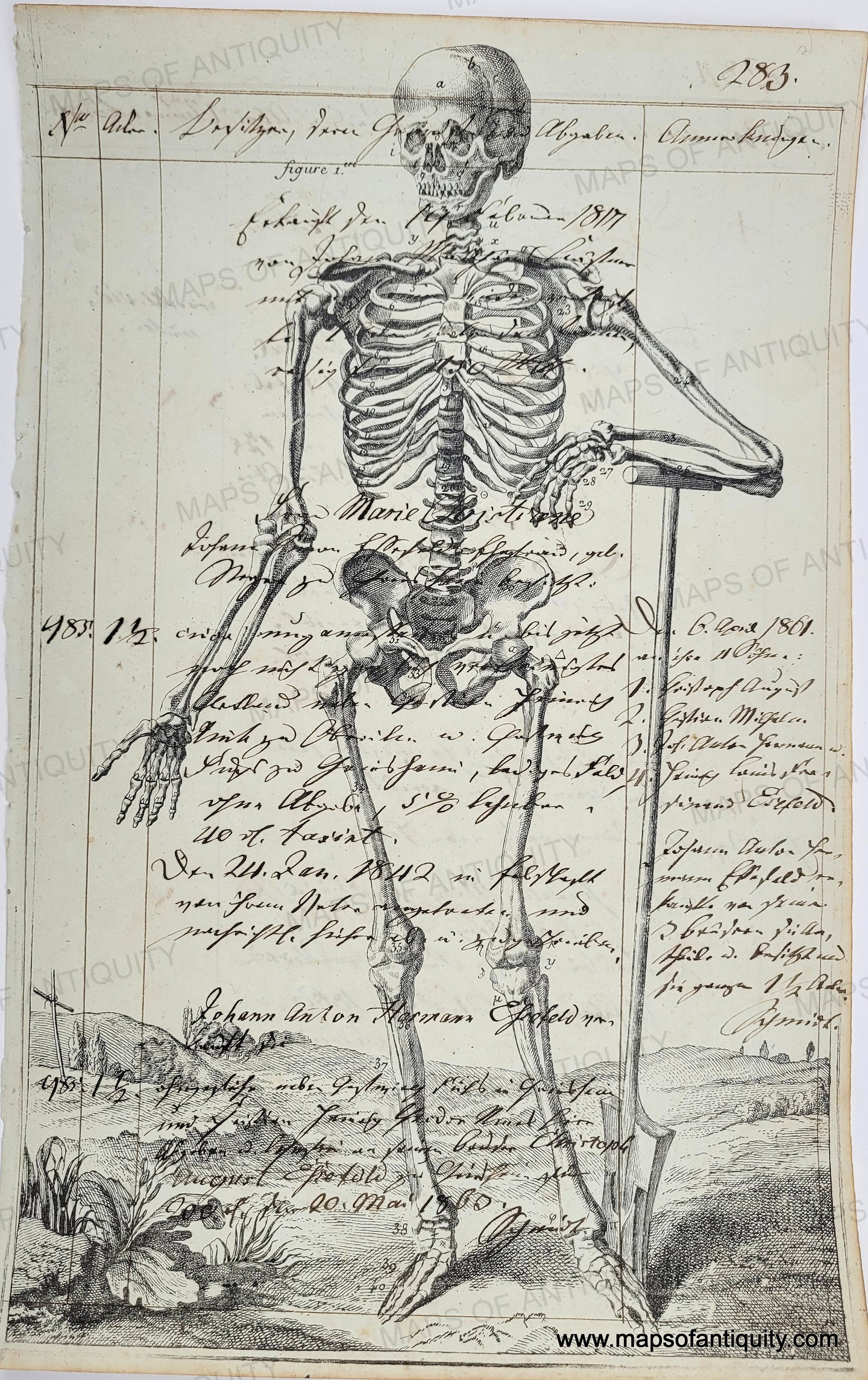 BLack and white print of a skeleton on antique paper with original handwriting. Specialty-Reproduction-Skeleton-(Reproduction-on-Antique-Paper)-Digitally-Engraved-Specialty-Reproduction---Reproduction-Maps-Of-Antiquity