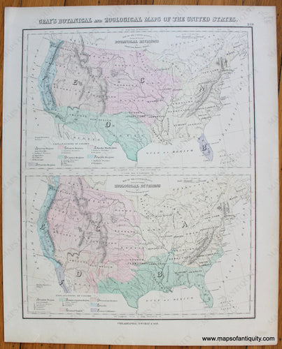 Antique-Hand-Colored-Map-Gray's-Botanical-and-Zoological-Maps-of-the-United-States-United-States-United-States-General---1884-Gray-Maps-Of-Antiquity