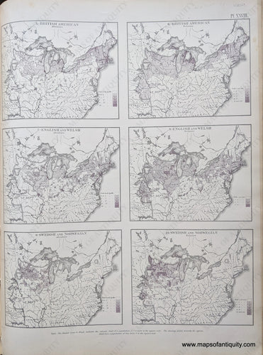 Genuine-Antique-Map-Untitled-(Maps-showing-the-Distribution-within-the-Territory-of-the-United-States-East-of-the-100th-Meridian-of-Certain-Foreign-Elements-of-the-Population.)-United-States--1874-Walker-/-Bien-Maps-Of-Antiquity-1800s-19th-century