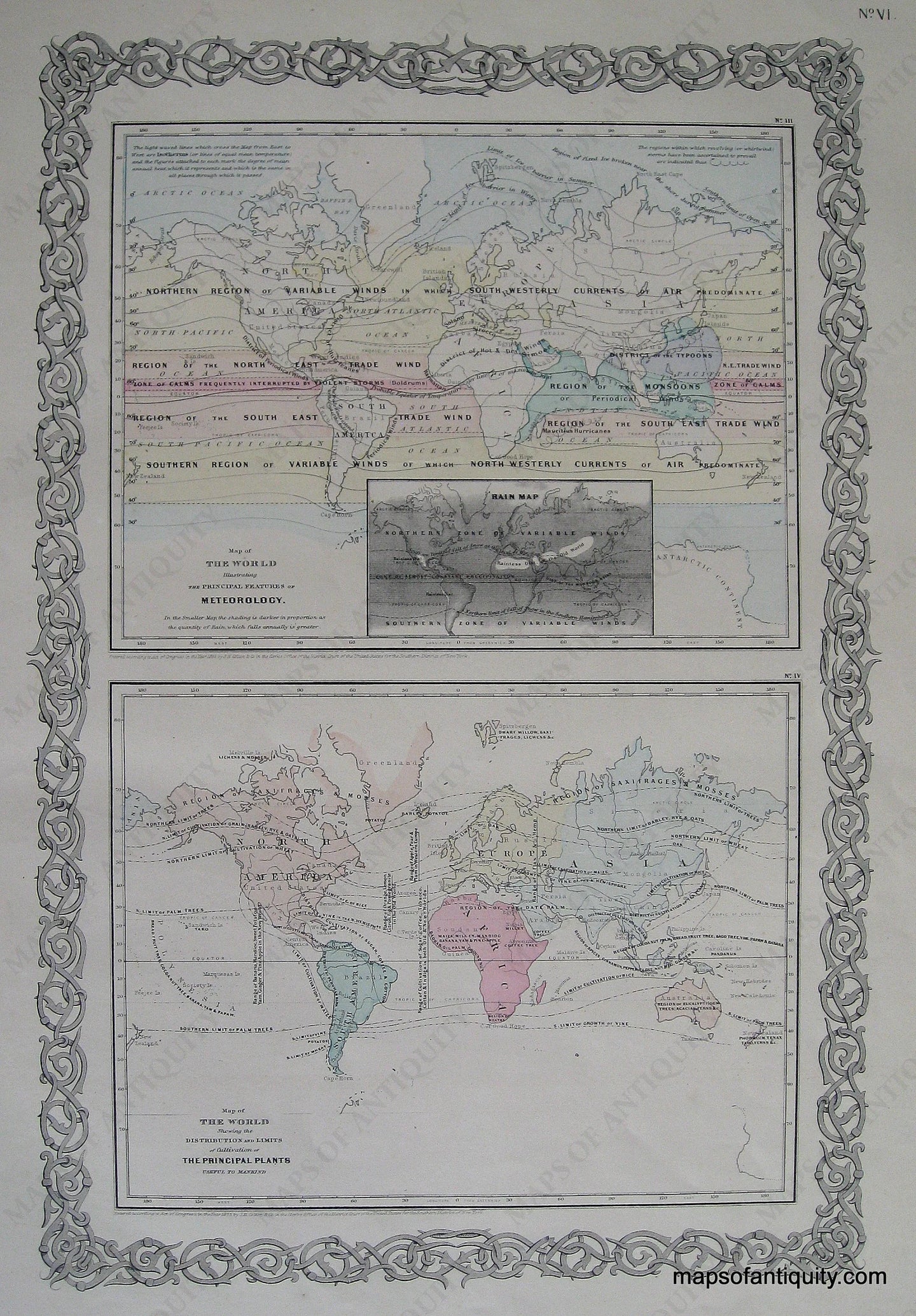 Antique-Hand-Colored-Map-World-Distribution-Map-of-Meteorology-Rainfall-and-Plants-1856-Colton-Maps-Of-Antiquity