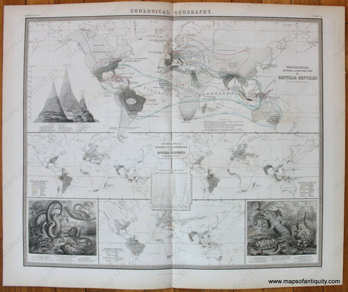 Geographical-Distribution-of-Reptilia-Johnston-1856-Antique-Map-1850s-1800s