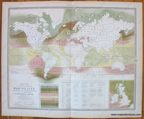 Geographical-Distribution-of-Marine-Life-Johnston-1856-Antique-Map-1850s-1800s