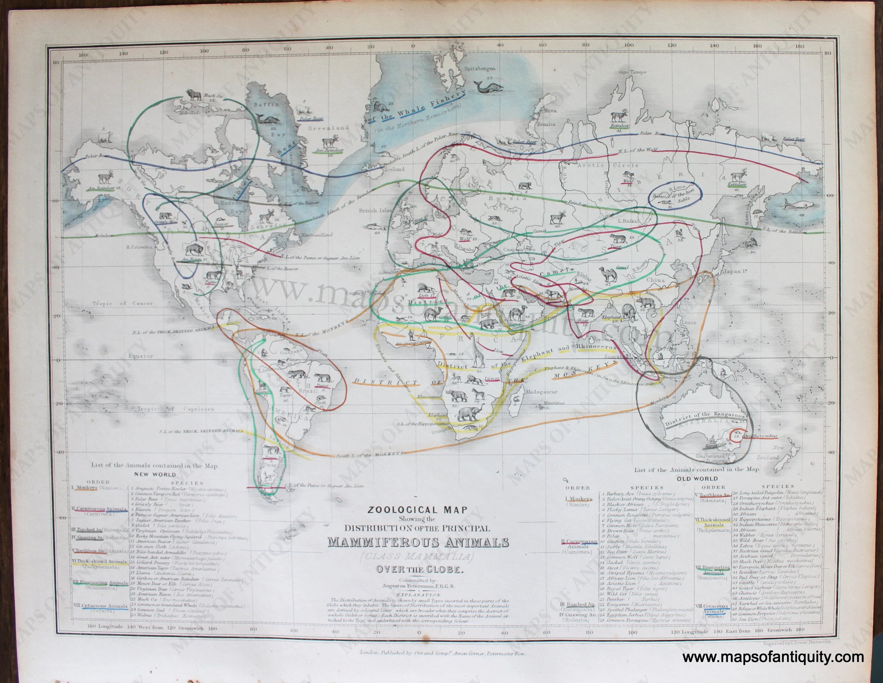 1850 - Zoological Map Showing the Distribution of the Principal Mammif ...