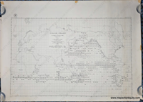 Genuine-Vintage-Map-Whale-Chart-by-M-F-Maury-1940s-Hydrographic-Office-of-the-US-Navy-Maps-Of-Antiquity