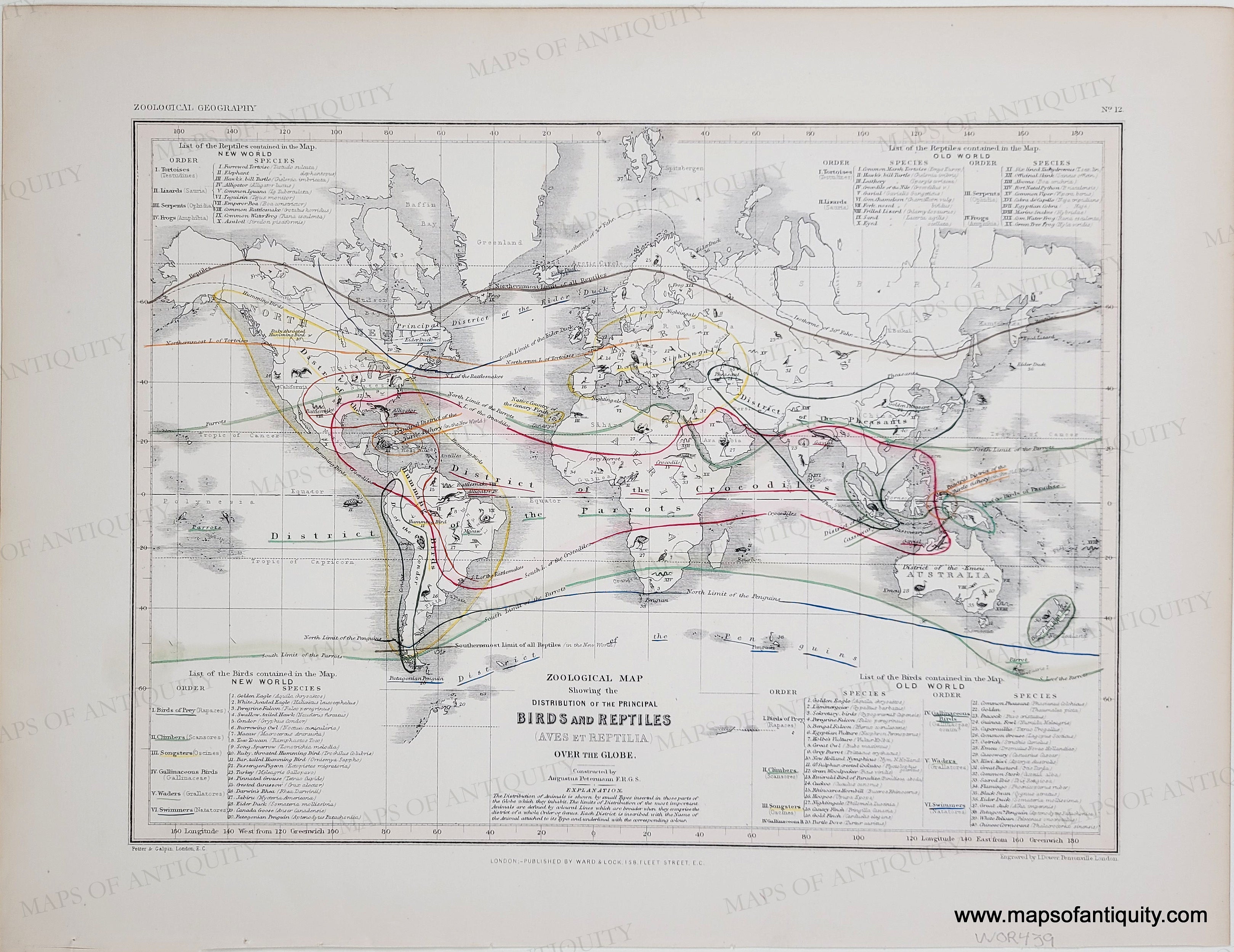 c.1850 - Zoological Map Showing the Distribution of the Principal Bird ...