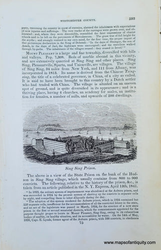 Genuine-Antique-Illustration-Sing-Sing-Prison-1841-Barber-Maps-Of-Antiquity