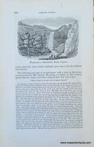 Genuine-Antique-Illustration-Taghcanic-or-Goodwin's-Falls,-Ulysses-(NY)-1841-Barber-Maps-Of-Antiquity