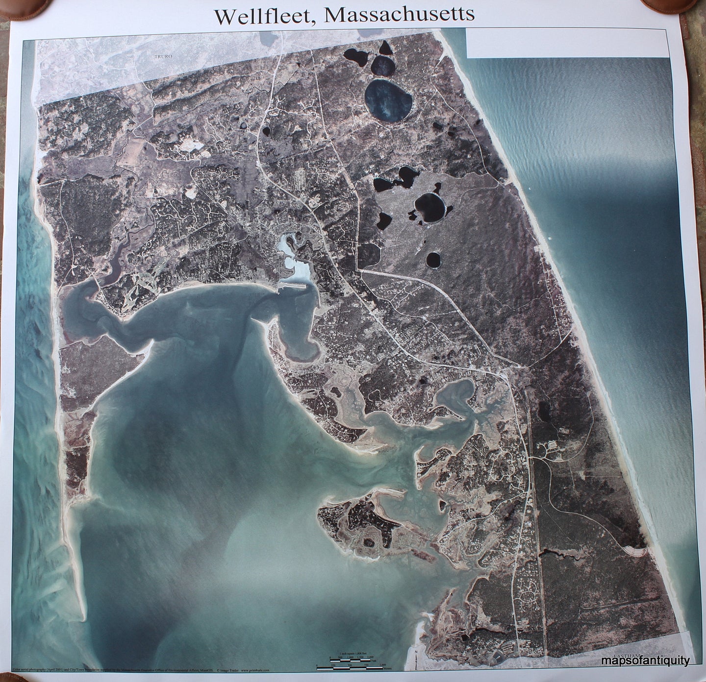 Satellite-photo-aerial-view--Wellfleet-Aerial-Map-2001--Reproductions-Cape-Cod-and-Islands-2001-Massachusetts-Executive-Office-of-Environmental-Affairs-Maps-Of-Antiquity