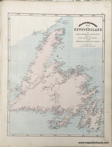 Antique-Map-Map-of-Newfoundland--1875-Walling-/-Tackabury-Canada-Civil-War-1800s-19th-century-Maps-of-Antiquity