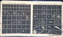 Load image into Gallery viewer, Black-and-White-Antique-Illustration-Double-Stars-and-Clusters-Clusters-Nebulae-and-Comets--Celestial--1856-Burritt-Maps-Of-Antiquity
